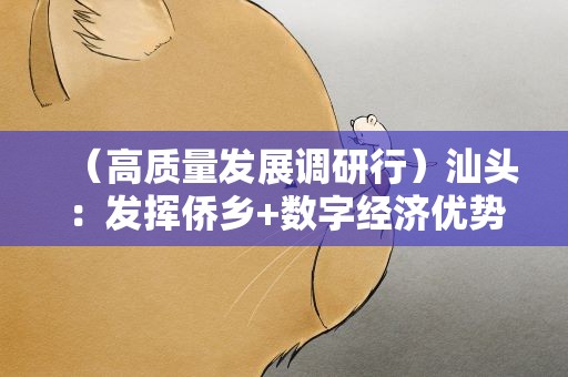 （高质量发展调研行）汕头：发挥侨乡+数字经济优势 织密海内外发展协作网