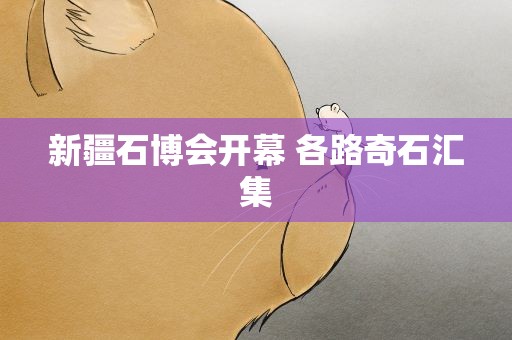 新疆石博会开幕 各路奇石汇集