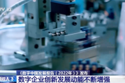 2022年数字中国建设取得哪些进展？一组数据告诉你