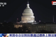 国际锐评丨美国“胆小鬼游戏”暂停 市场“真正的担心”开始