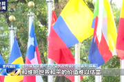 委内瑞拉国会议员：美国持续拱火导致俄乌冲突难以结束