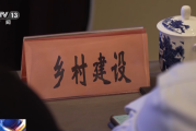 乡村引入运营师，外来的“和尚”如何念好本地经？