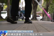 电子导盲犬、轮椅导航、无障碍剧场......数字科技为残障人士拓展更多可能