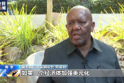 总台专访丨南非国民议会副议长：谴责美元霸权 呼吁本币结算