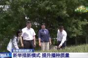 你在春天打卡的油菜花，已收获菜籽送去榨油了