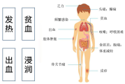 全国肿瘤防治宣传周｜儿童白血病很狡猾，四大症状家长要警惕