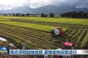 南方早稻陆续收获 夏粮收购加紧进行
