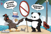 【国际漫评】管好自家的军舰军机